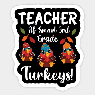 Teacher Of Smart 3rd Grade Turkeys Students Thanksgiving Day Sticker